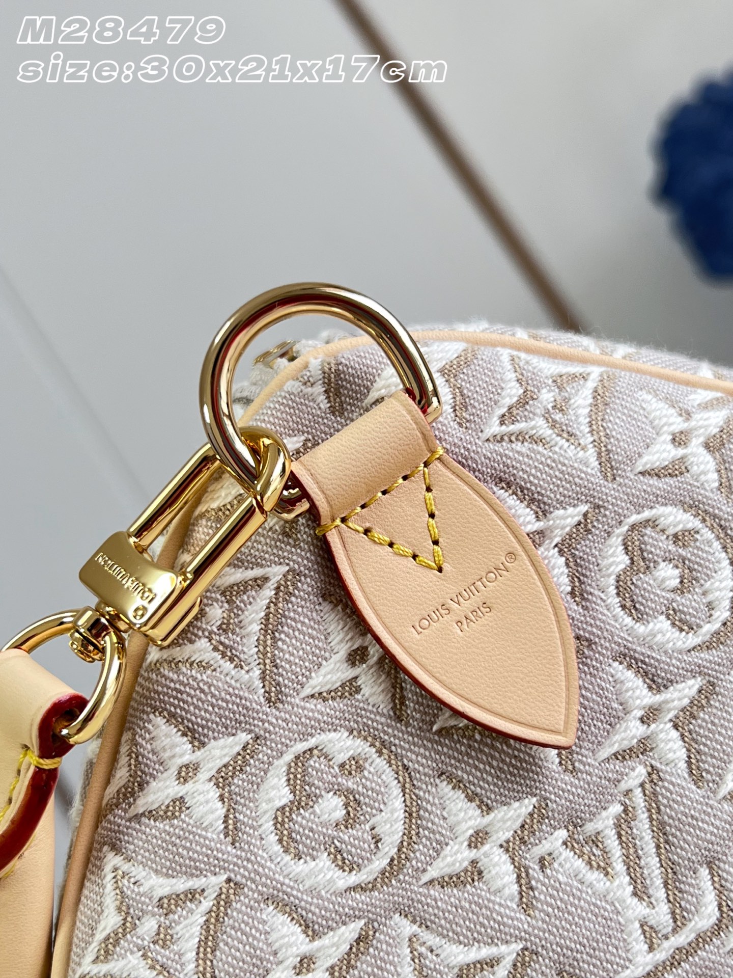 Louis Vuitton Luxury Handbag Collection 5