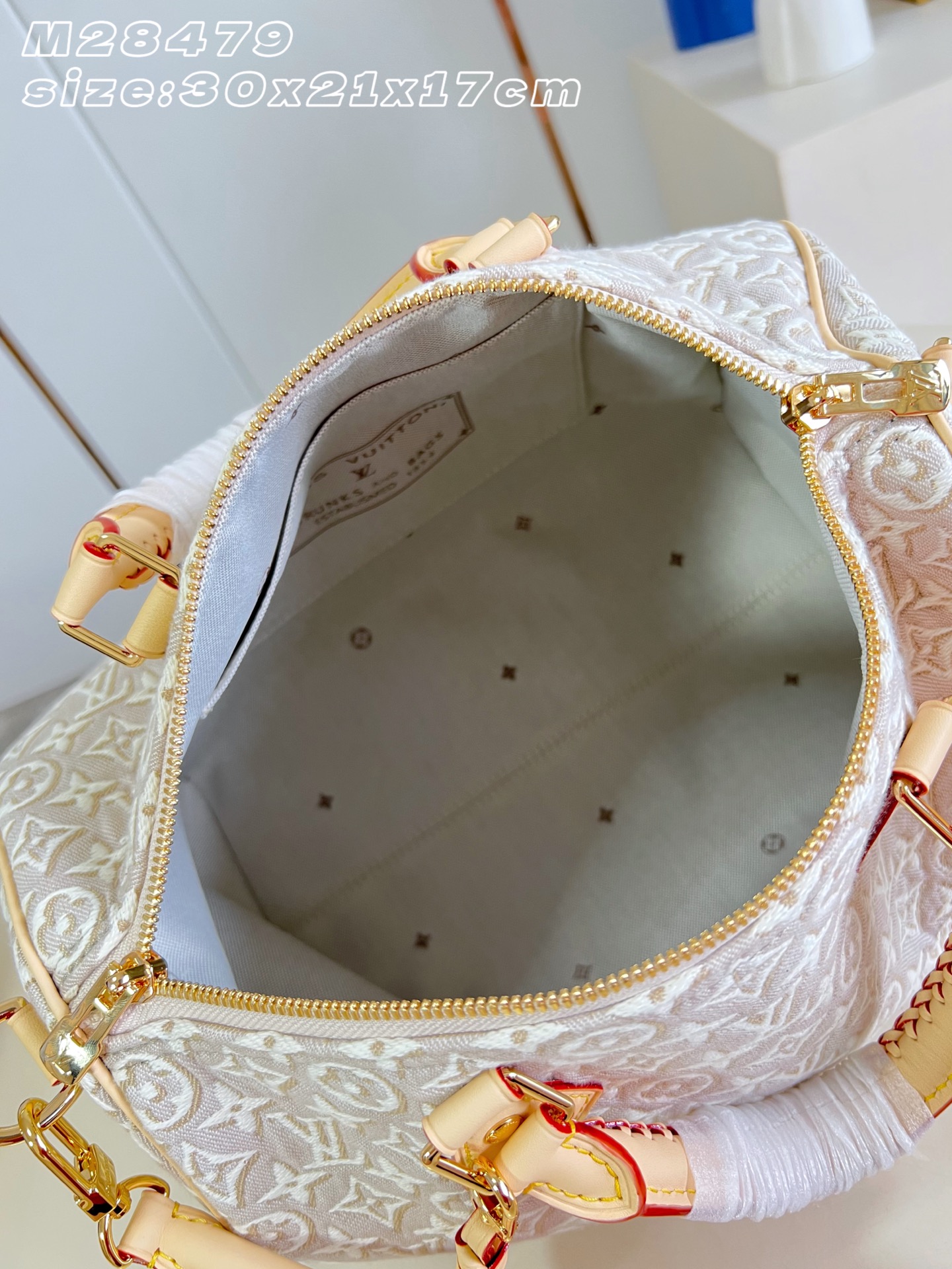 Louis Vuitton Luxury Handbag Collection 8