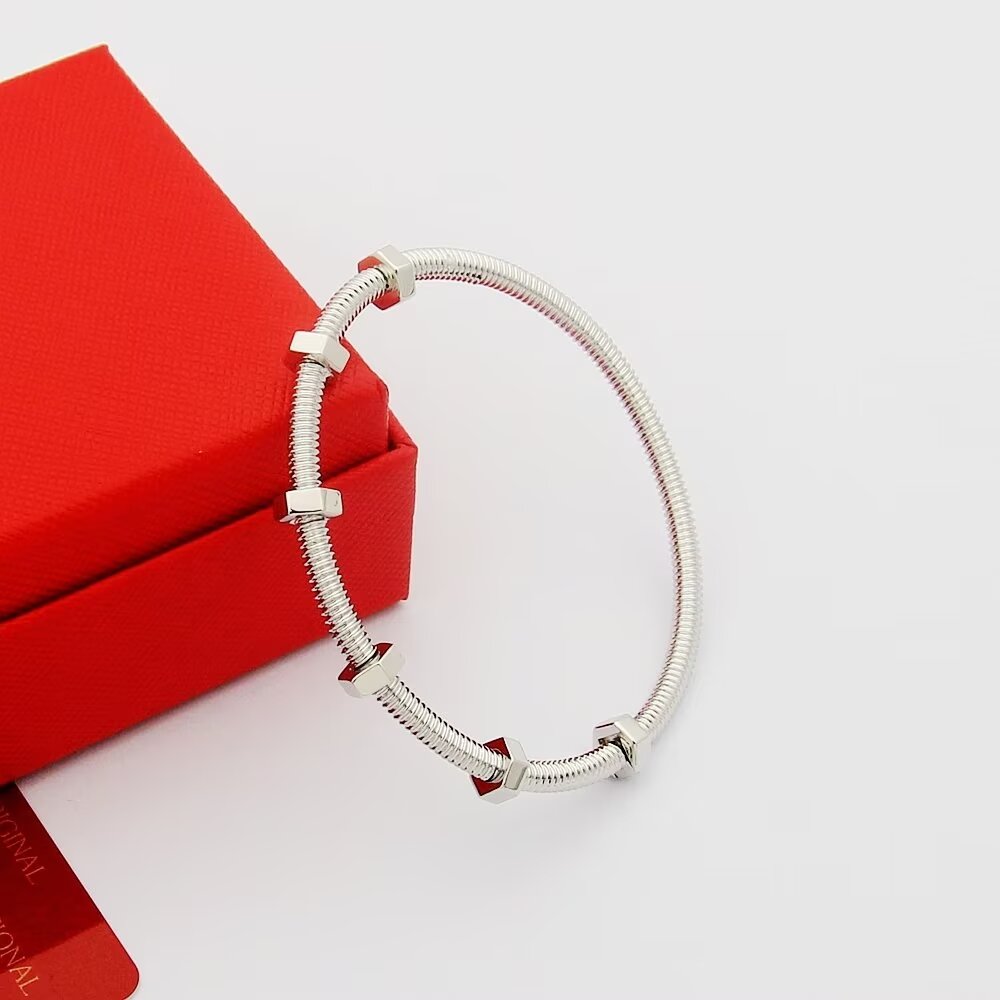 Cartierr Inspired Six-Nail Bangle Bracelet, Classic Screw Design Jewelry 5 a1723899899419 7433