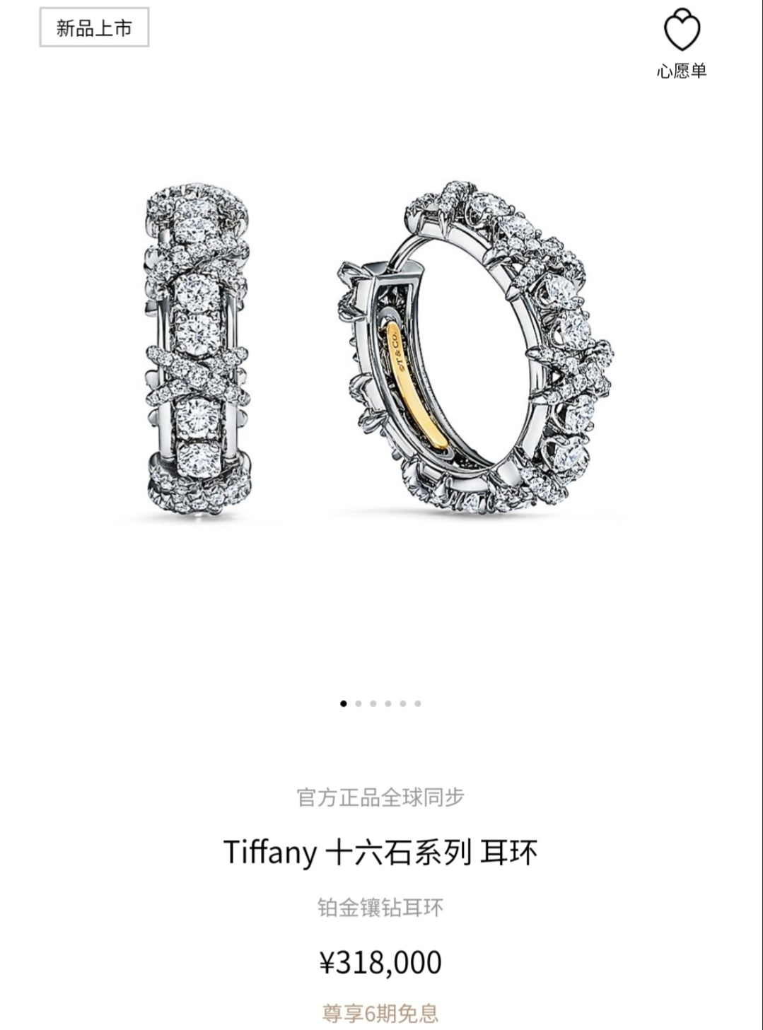 Tiffany & Co. Tiffany 蒂芙尼耳钉耳扣