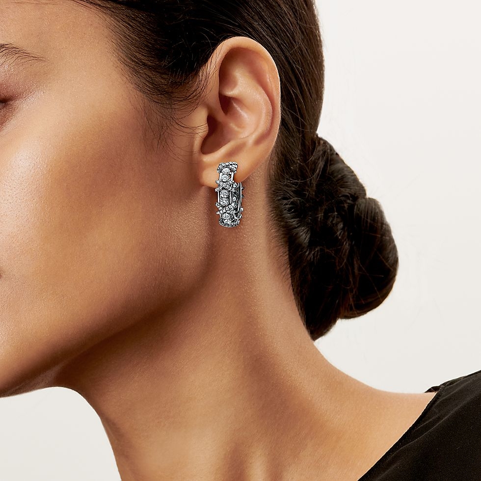 Tiffany & Co. Tiffany 蒂芙尼耳钉耳扣