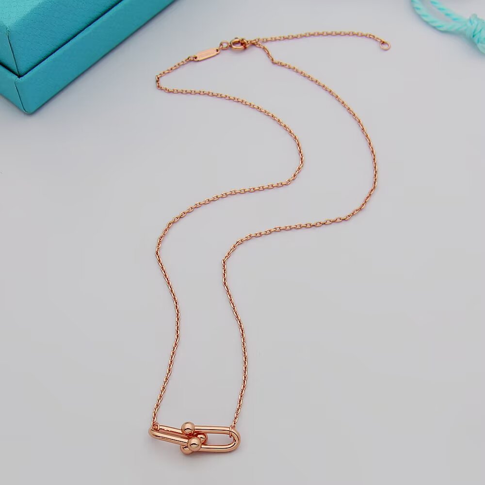 Tiffany & Co. Tiffany HardWear系列蒂芙尼项链双节链环项链亚金电镀厚金