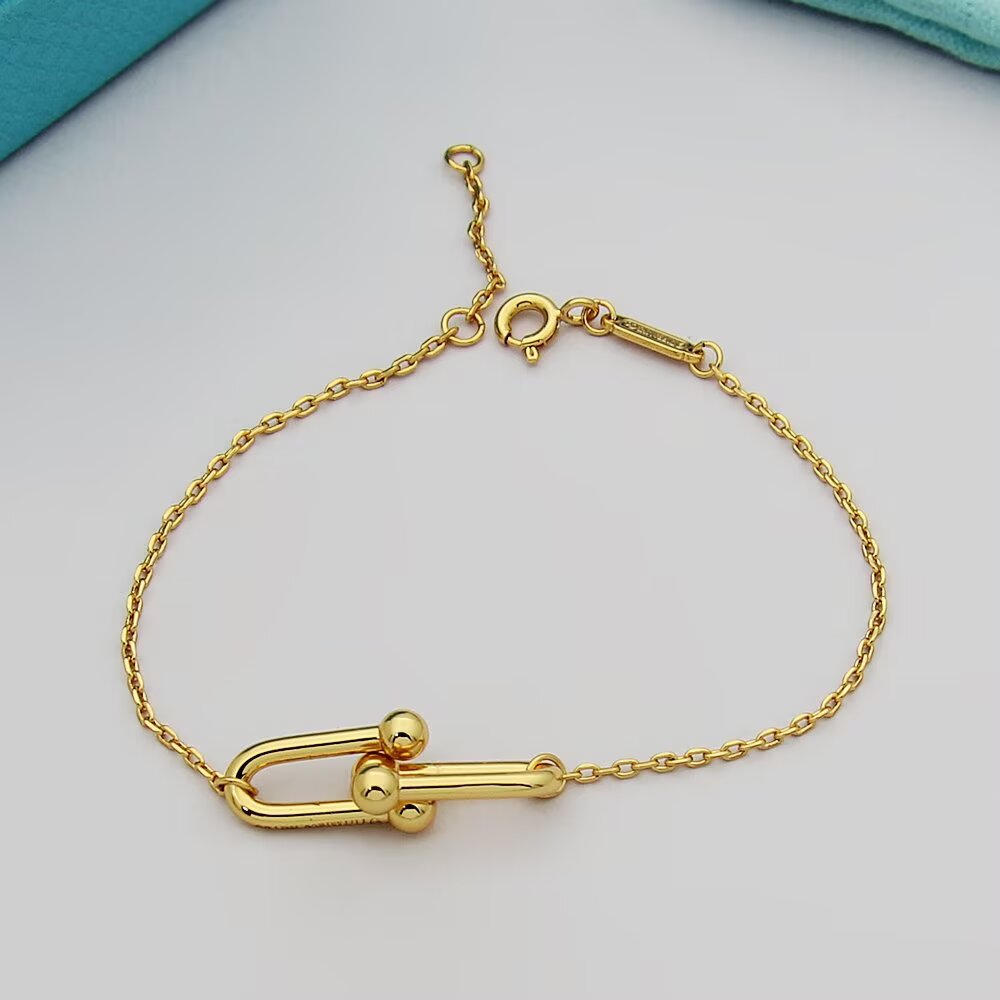 Tiffany & Co. Tiffany HardWear系列蒂芙尼手链双节链环手链亚金电镀厚金手链