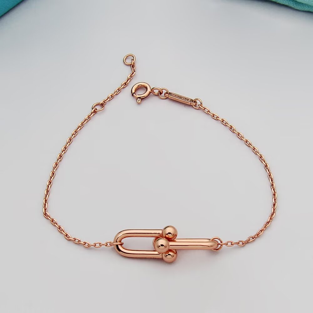 Tiffany & Co. Tiffany HardWear系列蒂芙尼手链双节链环手链亚金电镀厚金手链
