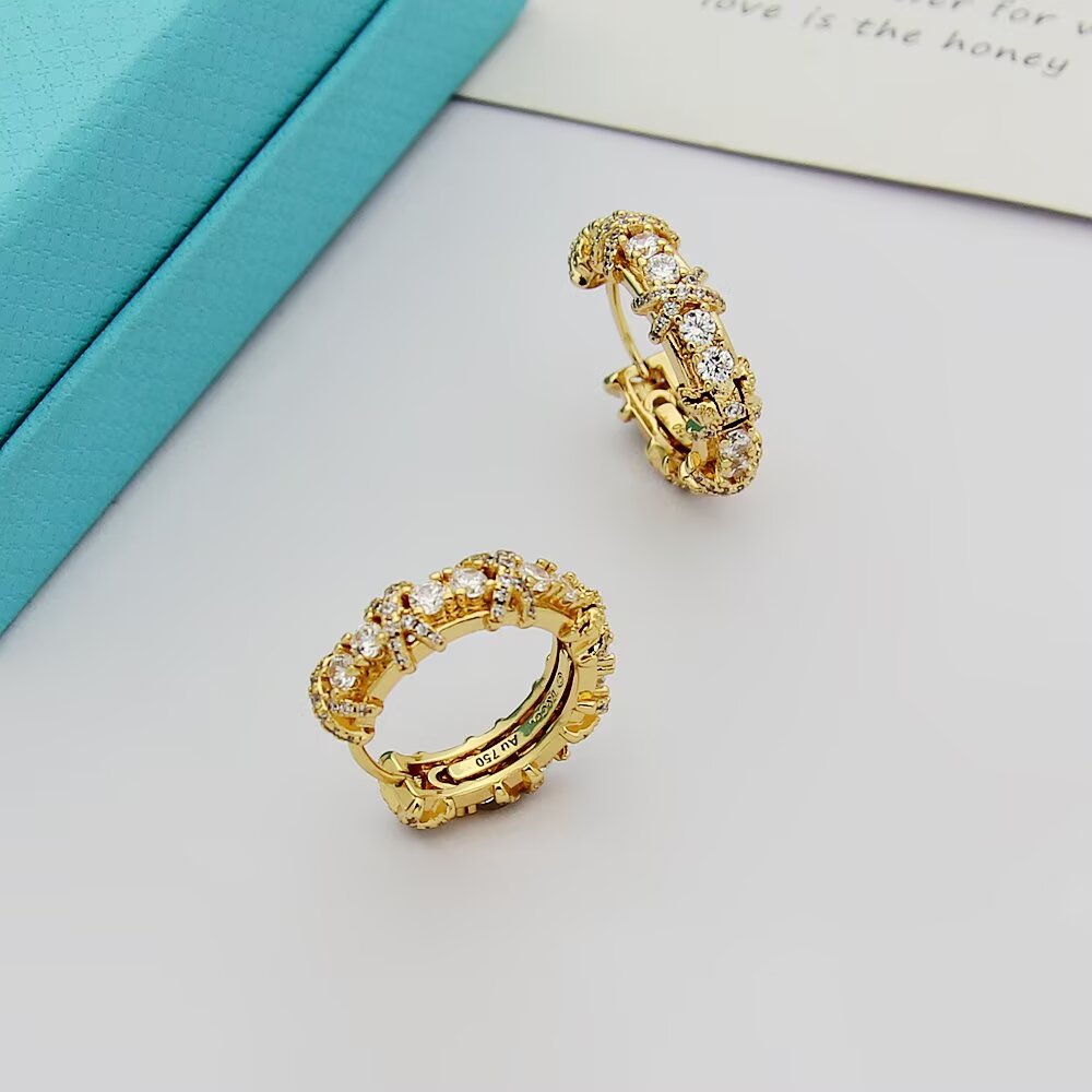 Tiffany & Co. Tiffany 蒂芙尼耳钉耳扣