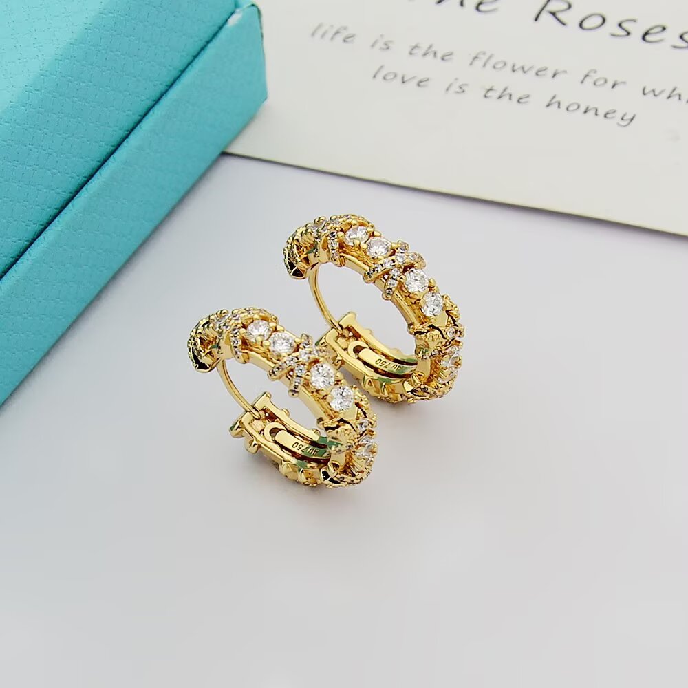 Tiffany & Co. Tiffany 蒂芙尼耳钉耳扣