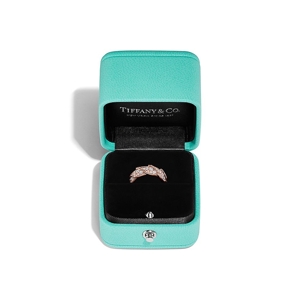 Tiffany & Co. Tiffany蒂芙尼戒指石上鸟系列，灵动羽翼宽式戒指，飞羽宽式戒指size6789