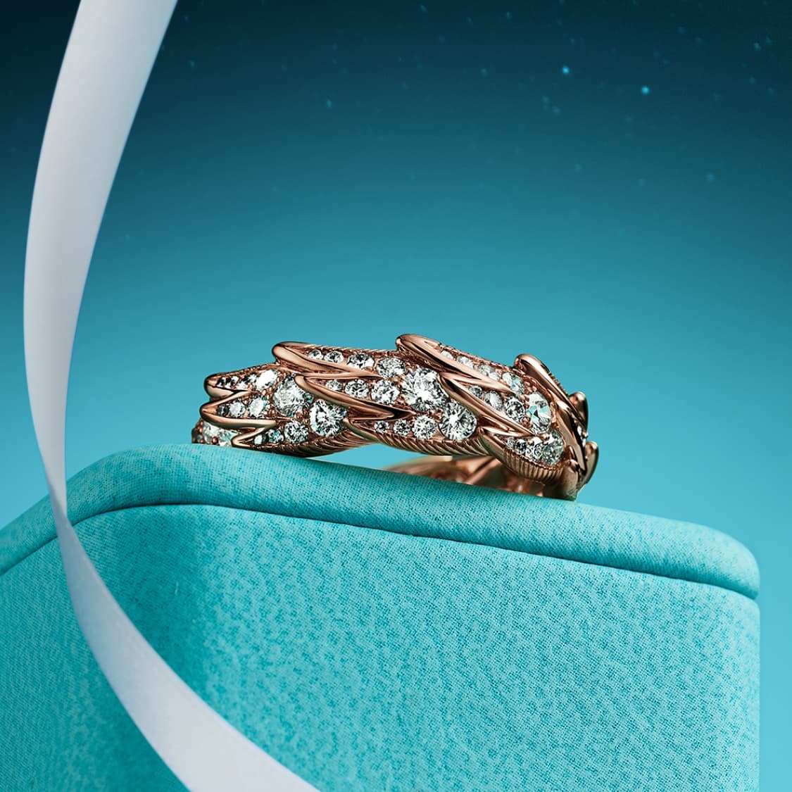 Tiffany & Co. Tiffany蒂芙尼戒指石上鸟系列，灵动羽翼宽式戒指，飞羽宽式戒指size6789
