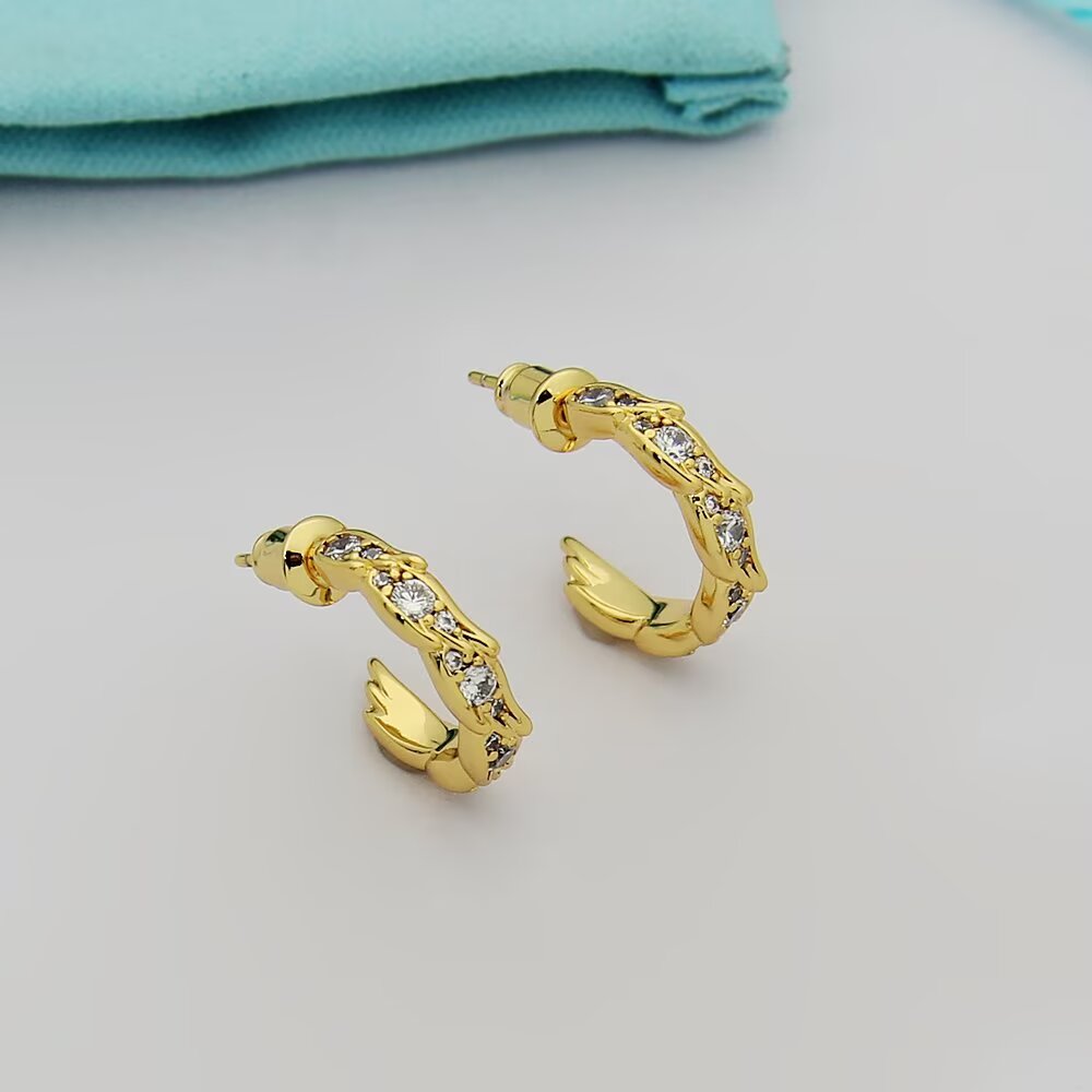 Tiffany & Co. Tiffany蒂芙尼耳钉石上鸟系列灵动羽翼圈形耳环 飞羽圈形耳环