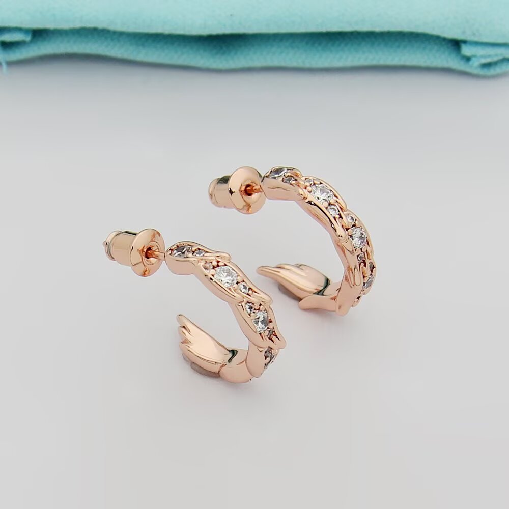Tiffany & Co. Tiffany蒂芙尼耳钉石上鸟系列灵动羽翼圈形耳环 飞羽圈形耳环