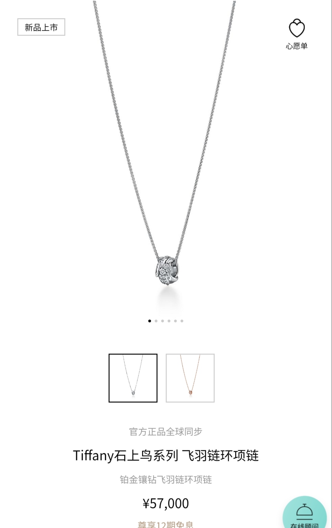 Tiffany & Co. tiff蒂芙尼项链石上鸟系列 飞羽链环项链