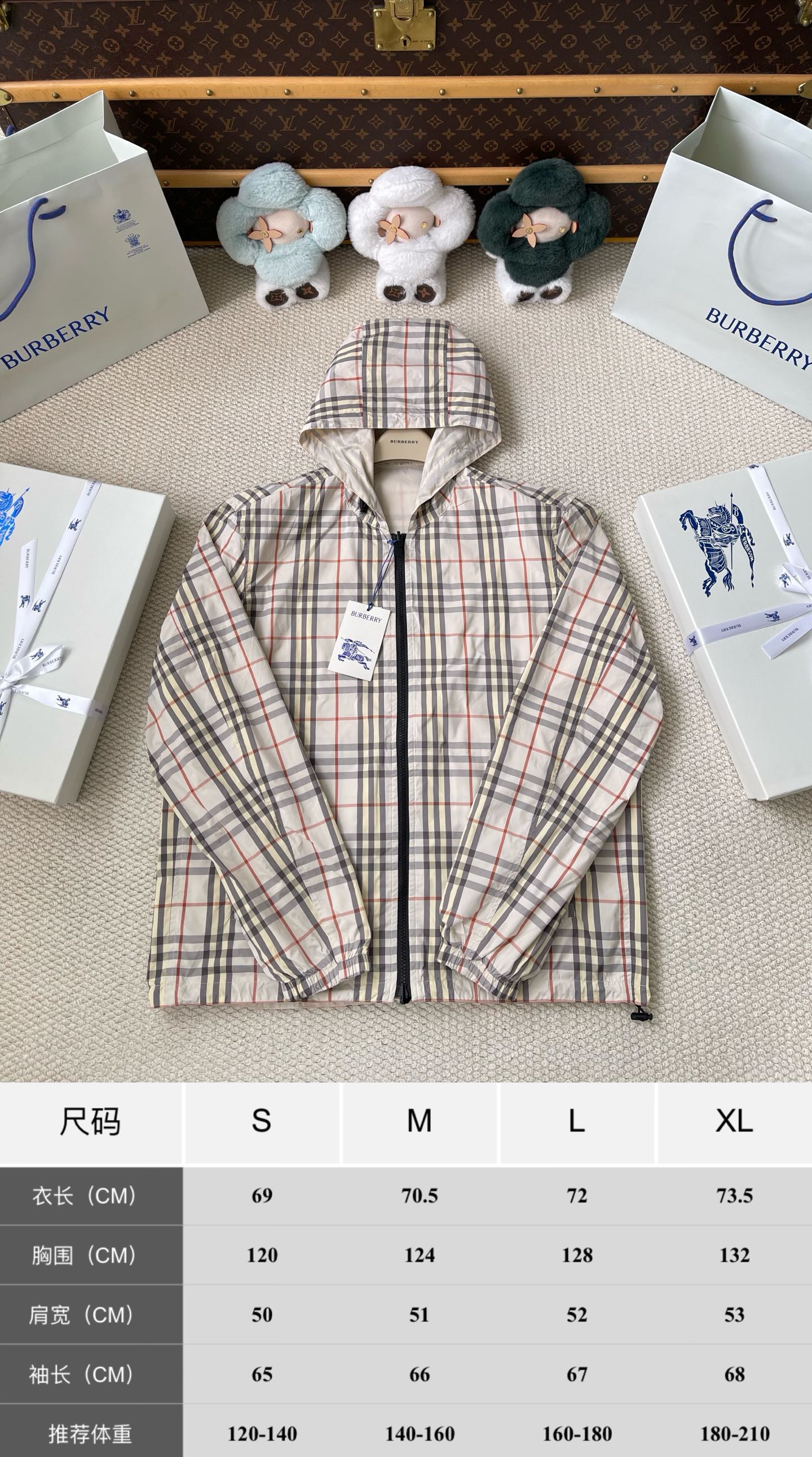 Light-Check Reversible Windbreaker — product photograph