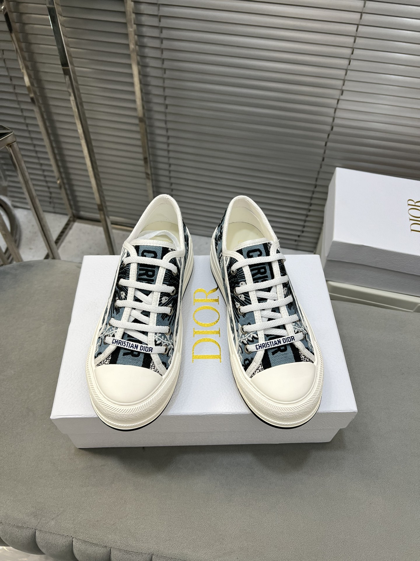 Dior Walk'n'Dior Embroidered Canvas Sneakers Heavy Duty Platform Shoes 3 i1713338641 8893 2