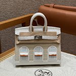 Hermes Birkin Bags Handbags Platinum Silver White Hardware