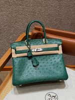 Hermes Birkin Replicas
 Bags Handbags Green Platinum Silver Hardware