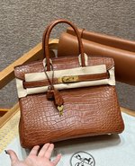Hermes Birkin Bags Handbags Brown Coffee Color Gold Platinum Hardware Matte