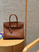 Hermes Birkin Buy
 Bags Handbags Brown Coffee Color Gold Platinum Hardware Matte