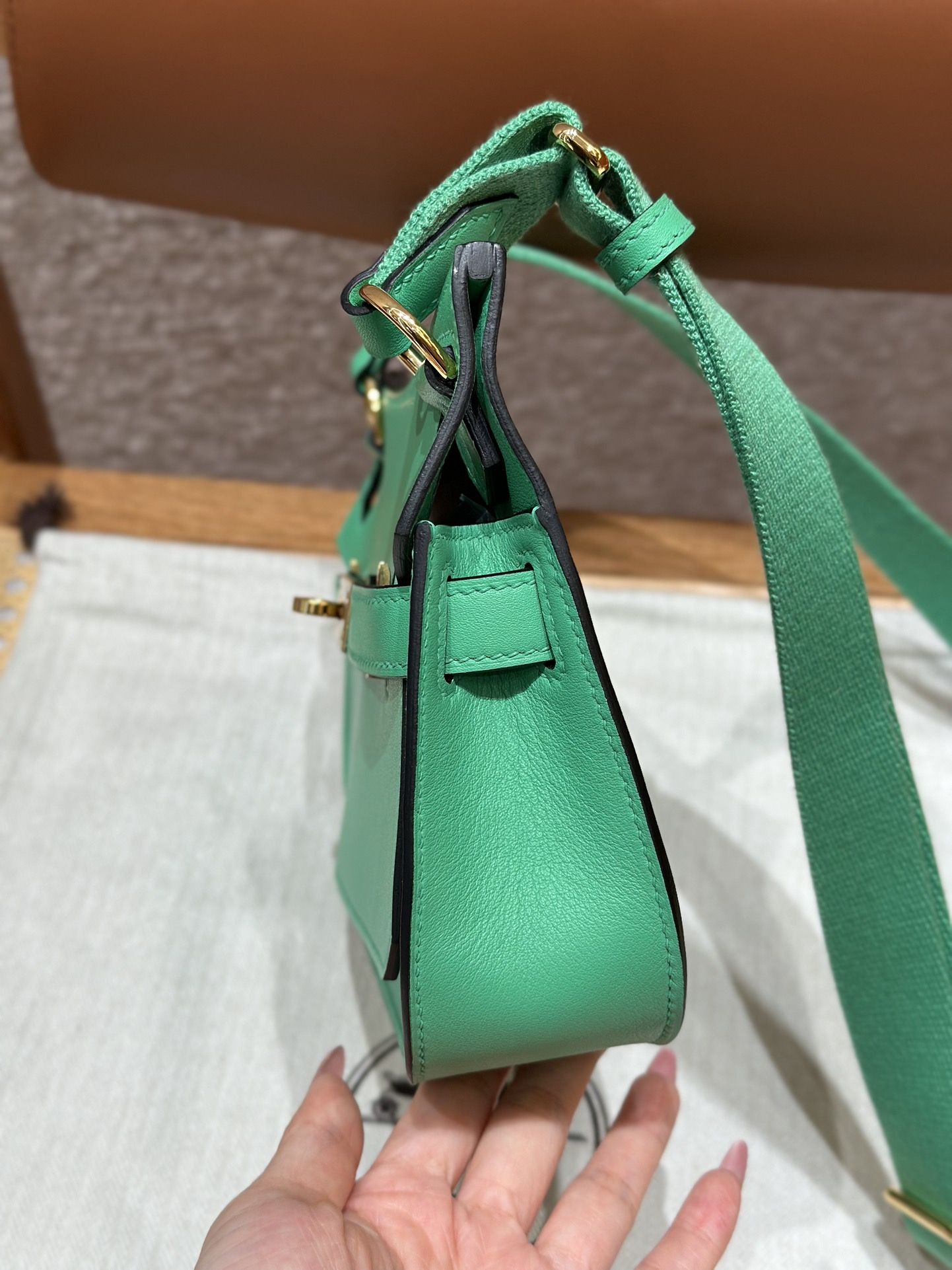 Mini Jypsiere 23cm Swift Leather Crossbody Bag - Cartoon Green & Gold Hardware 8 i1714916652 3723 8