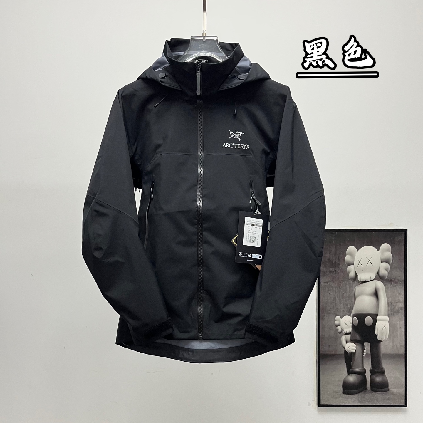 Мембранная куртка Arc'teryx Beta LT