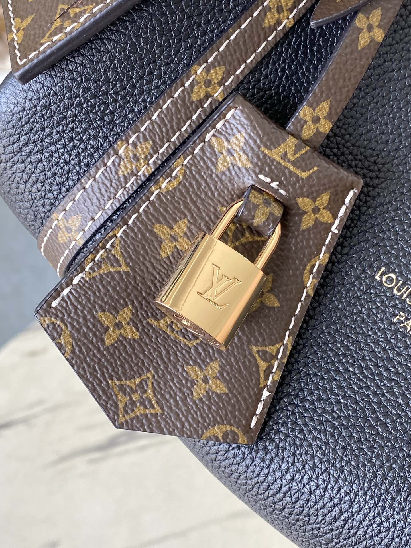 Louis Vuitton Pillow Bag M13667 Black, Travel-Inspired Design, Small Size 6 i1744917994 838 6
