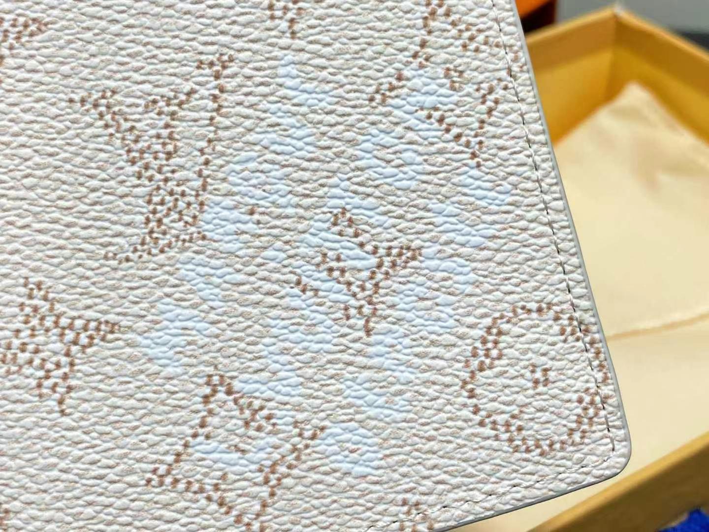 Louis Vuitton Brazza 財布 長款モデル カードポケット付き