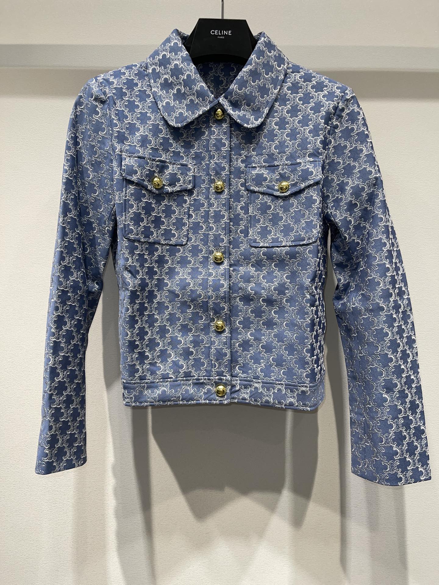 Female Suit with Wrapper and Cowboy Embroidery: P1426 Ces*25FW Collection Review - 图片 1