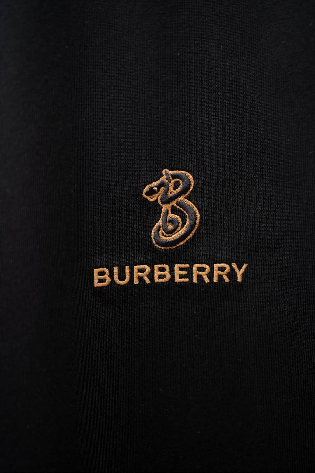   ￼ 2025🆕BBR最新款T恤
蛇年限定字母刺绣logo设计
顶级纯棉面料
正常版型

黑色 尺码：