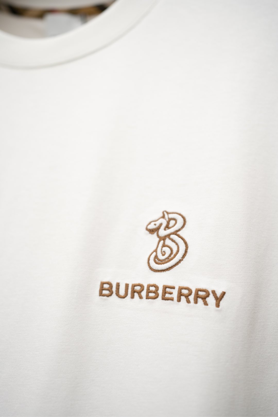   ￼ ￼ 2025🆕BBR最新款T恤
蛇年限定字母刺绣logo设计
顶级纯棉面料
正常版型

白色 尺