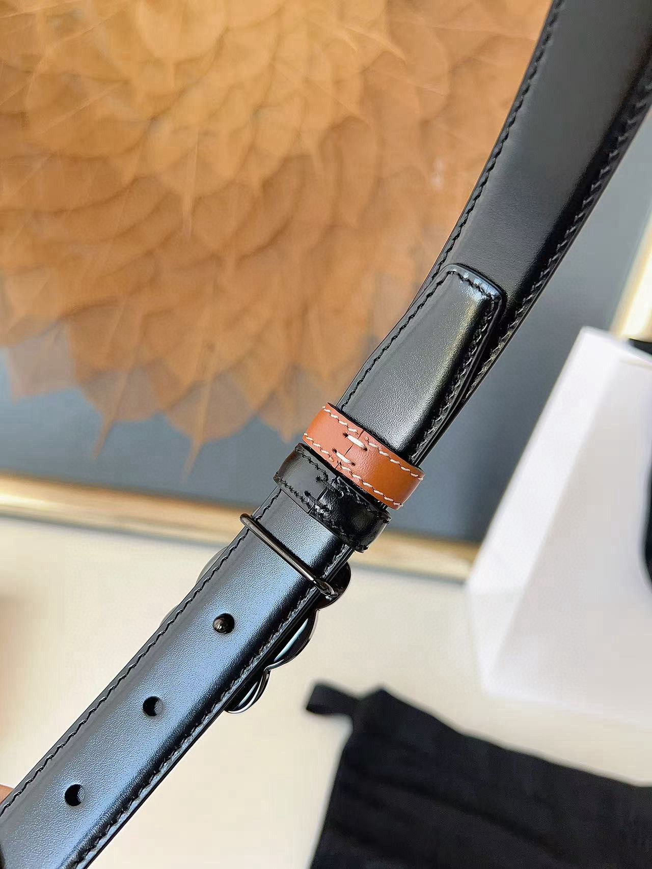 CELINE belt CÉLINE NewALIX 25 — photo 9