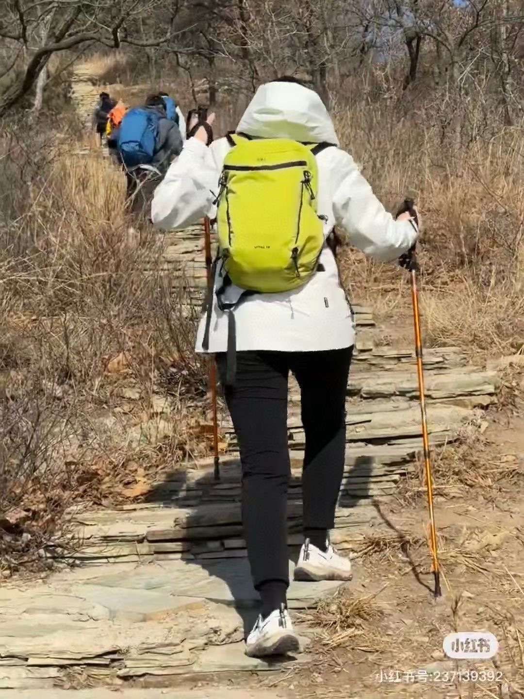 KOLON SPORT Backpack - Comprehensive 5