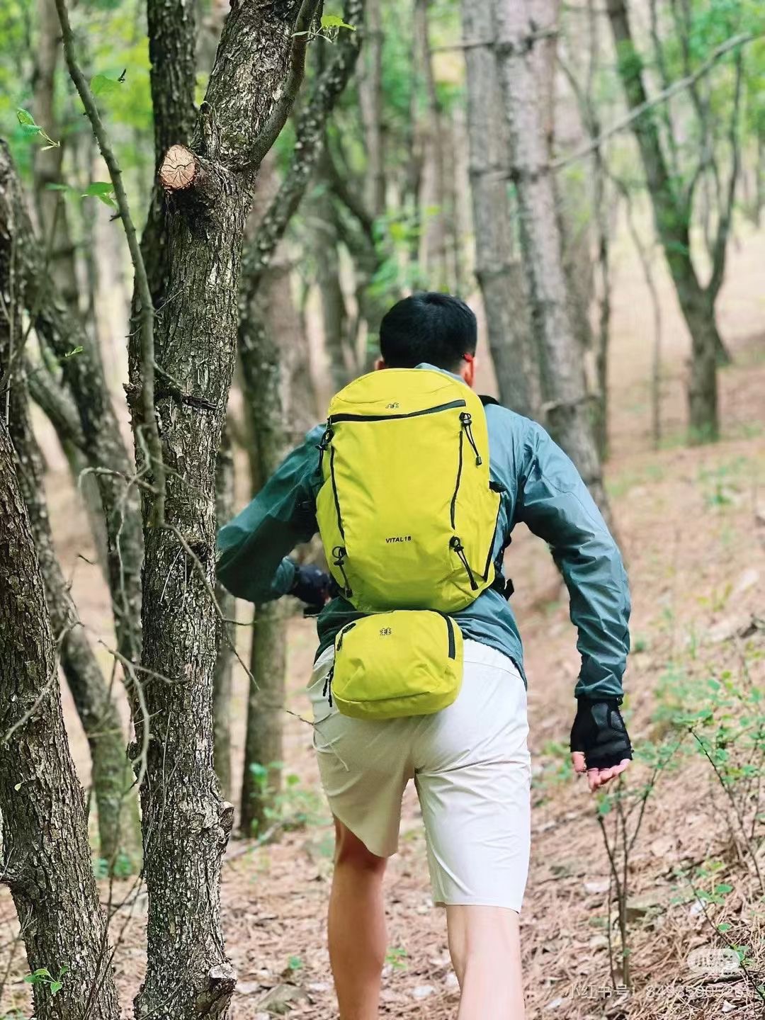KOLON SPORT Backpack - Comprehensive 8
