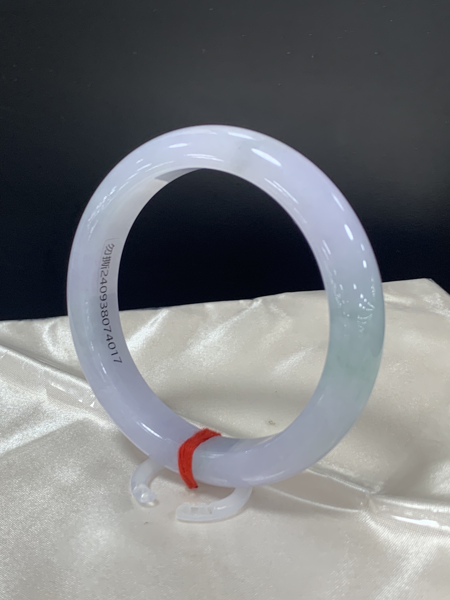 Positive Circle Spring Color 2
