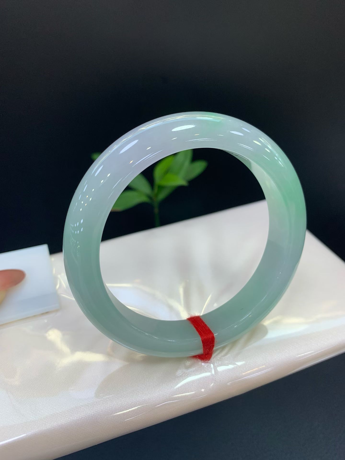 Spring Color Round Bangle 2