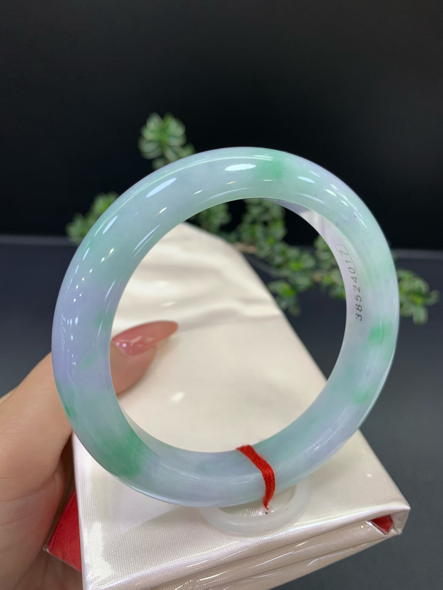 Spring Color Round Bangle 2