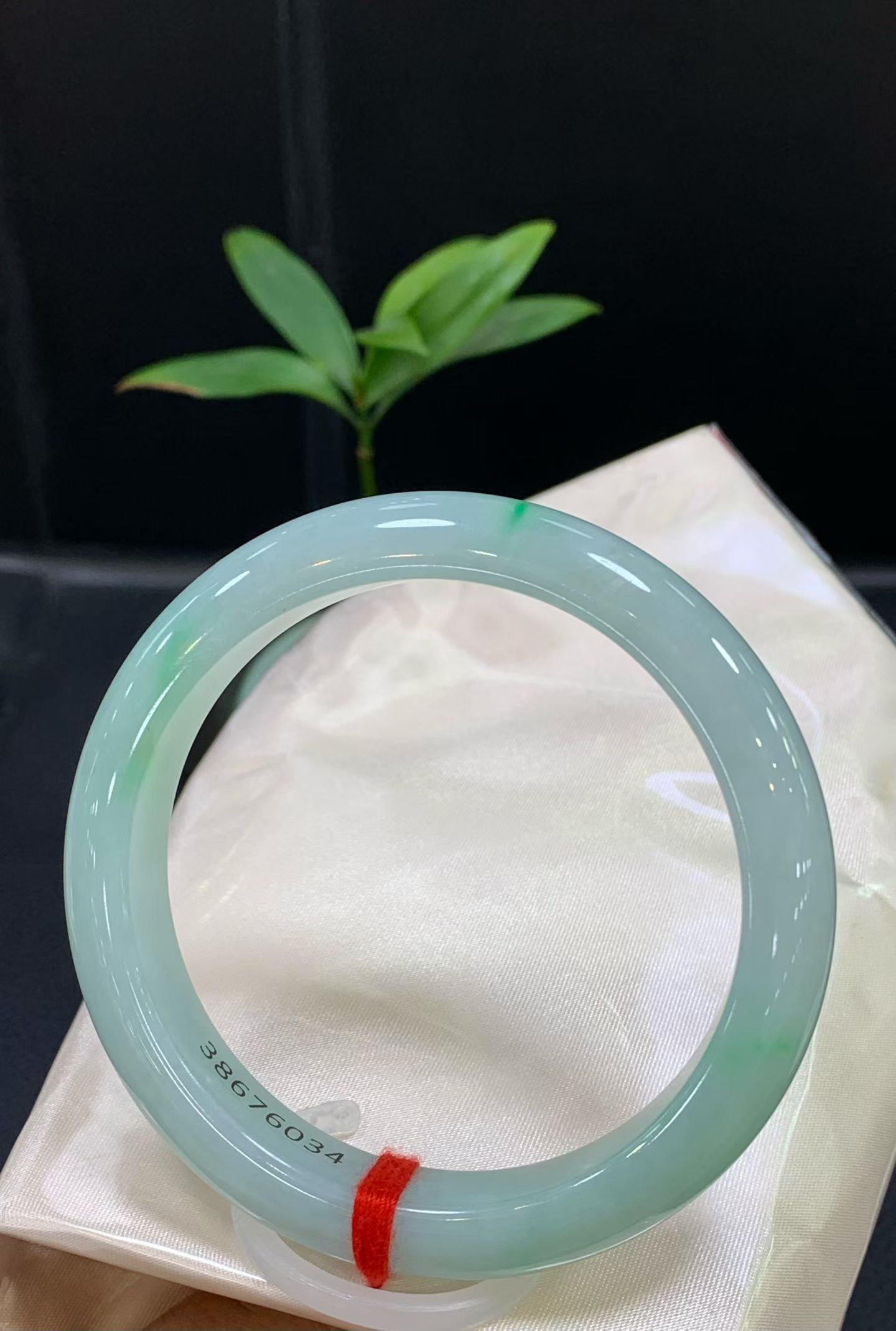 正圈晴底飘绿花