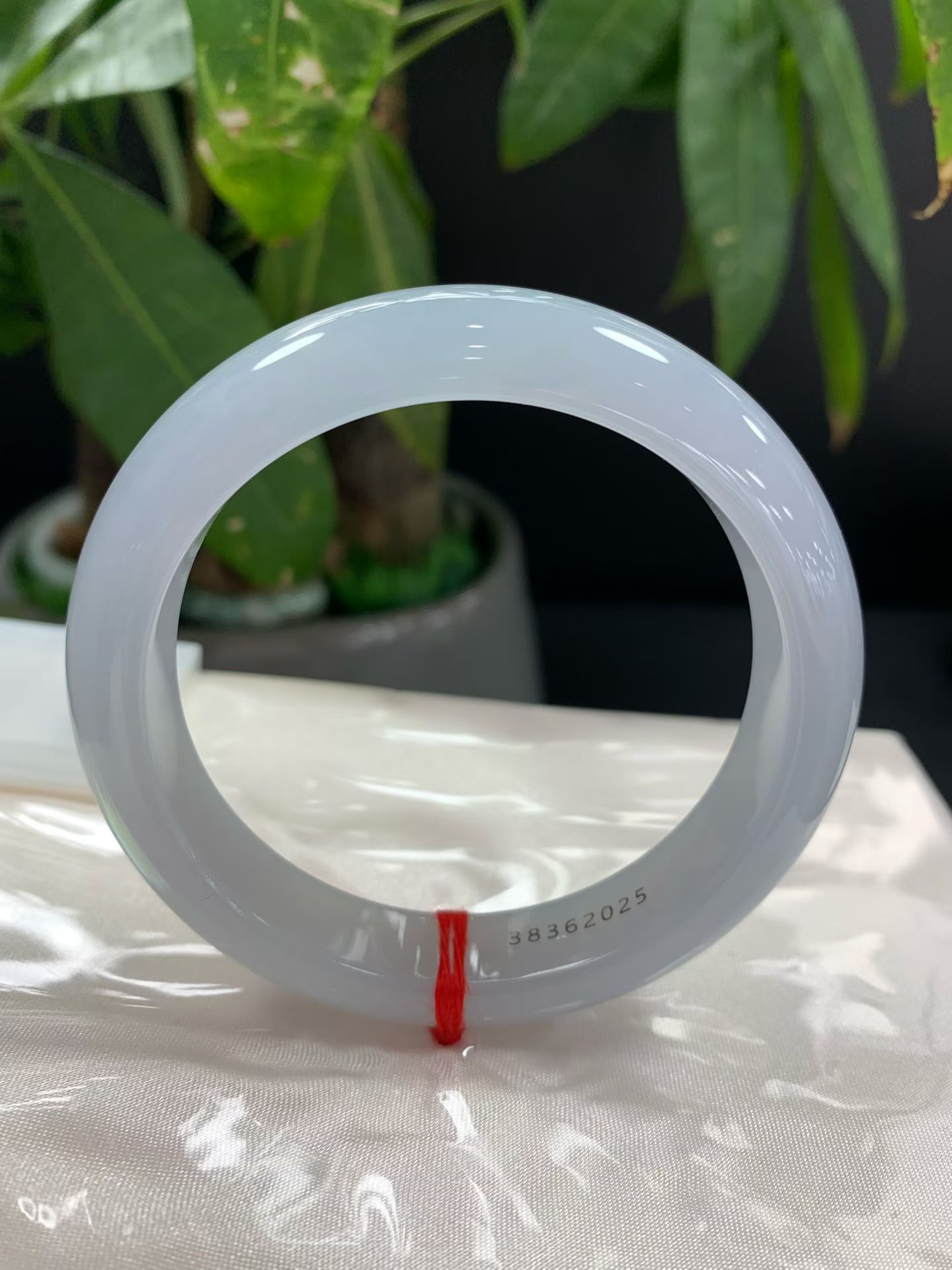Light Spring Peace Bangle