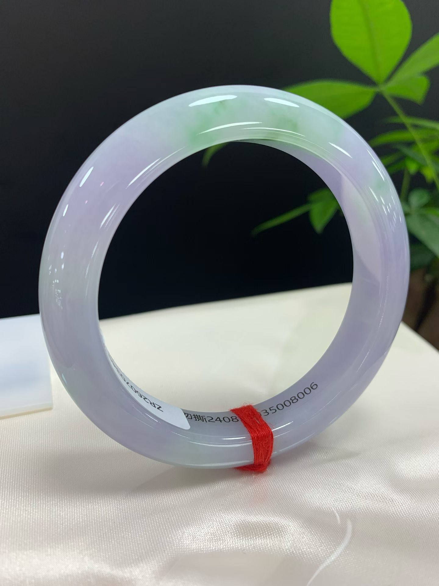 Spring Color Peace Bracelet 2