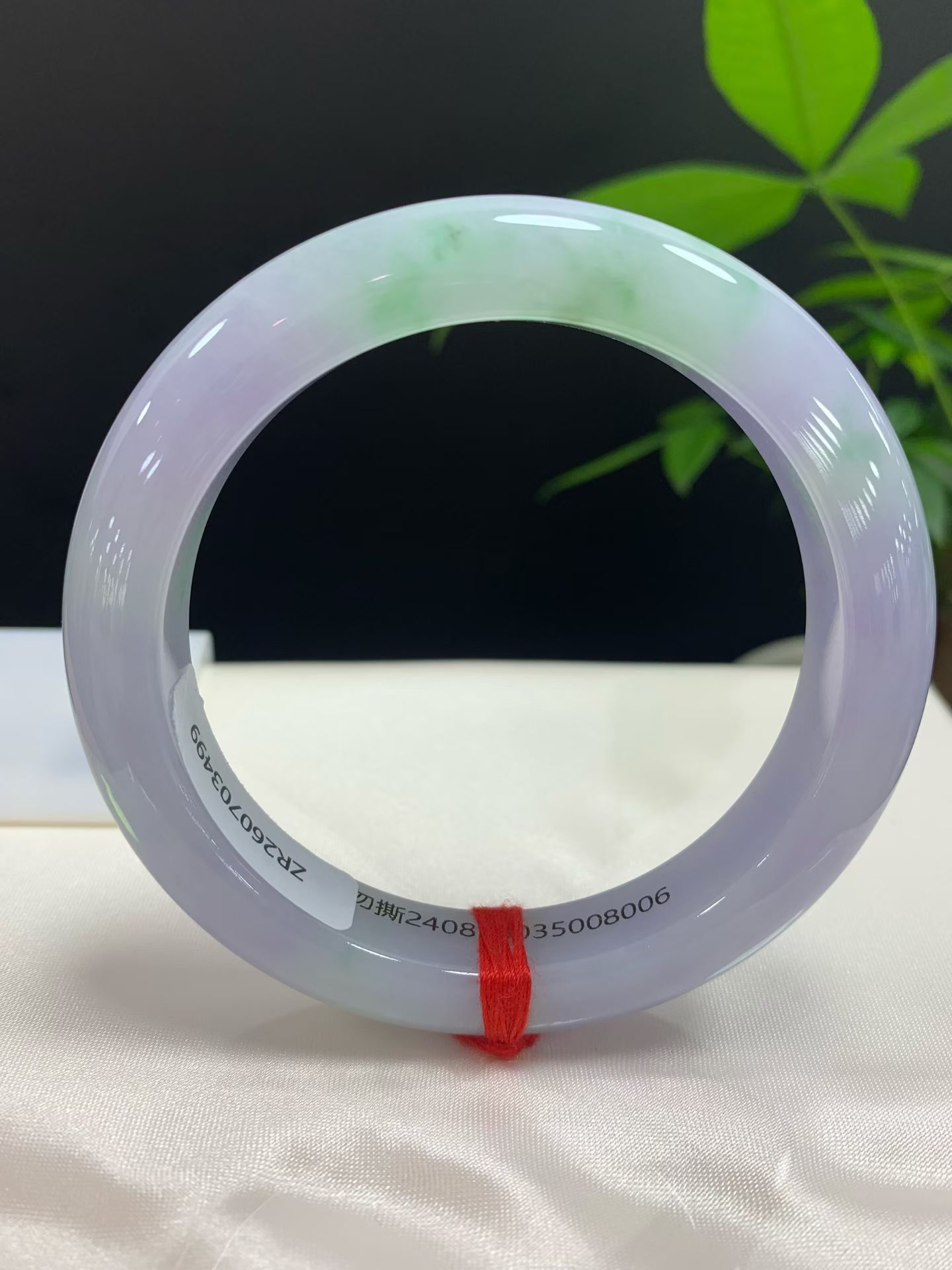 Spring Color Ankle Bracelet
