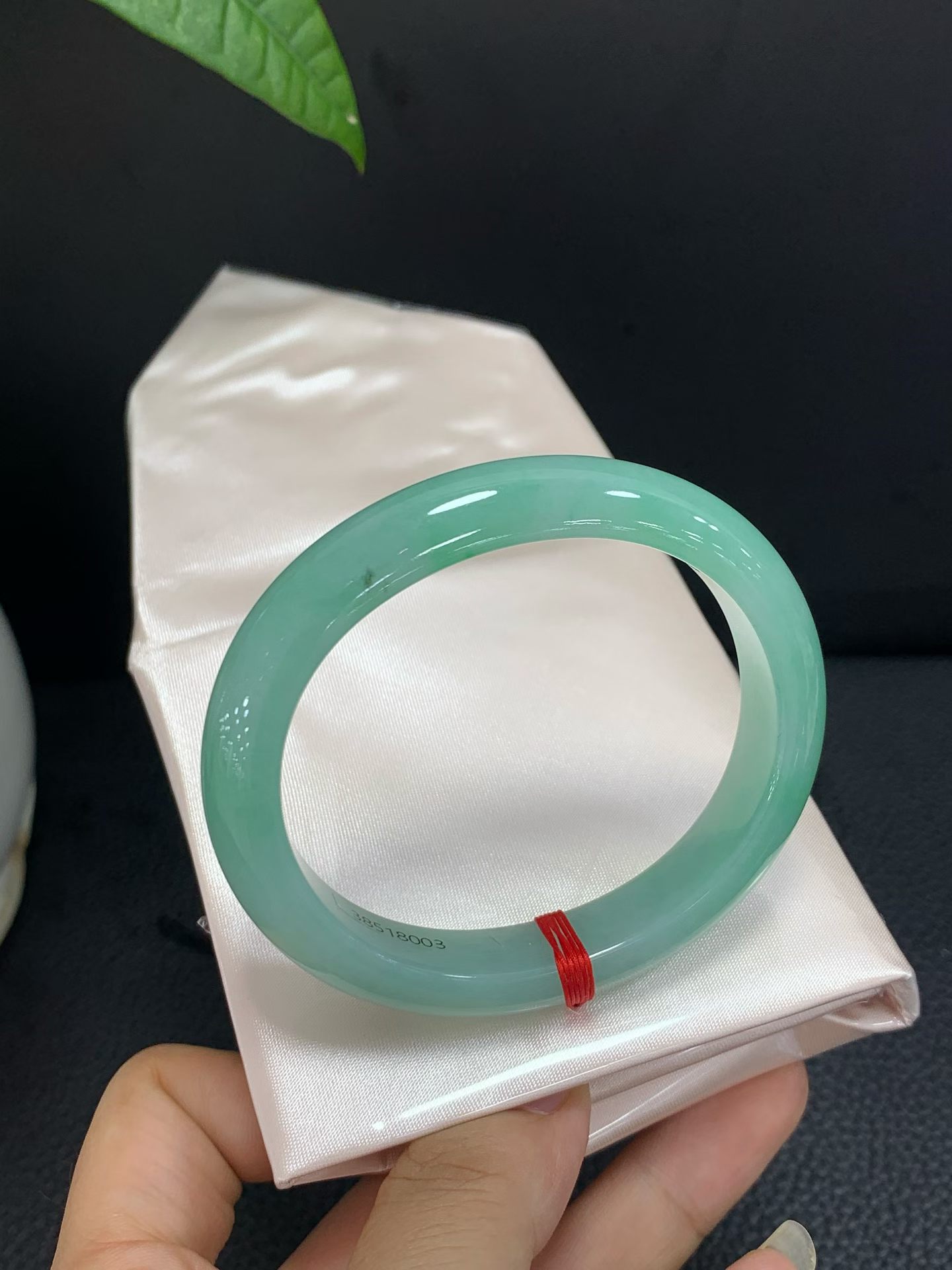 Imperial Bangle in Apple Green 2