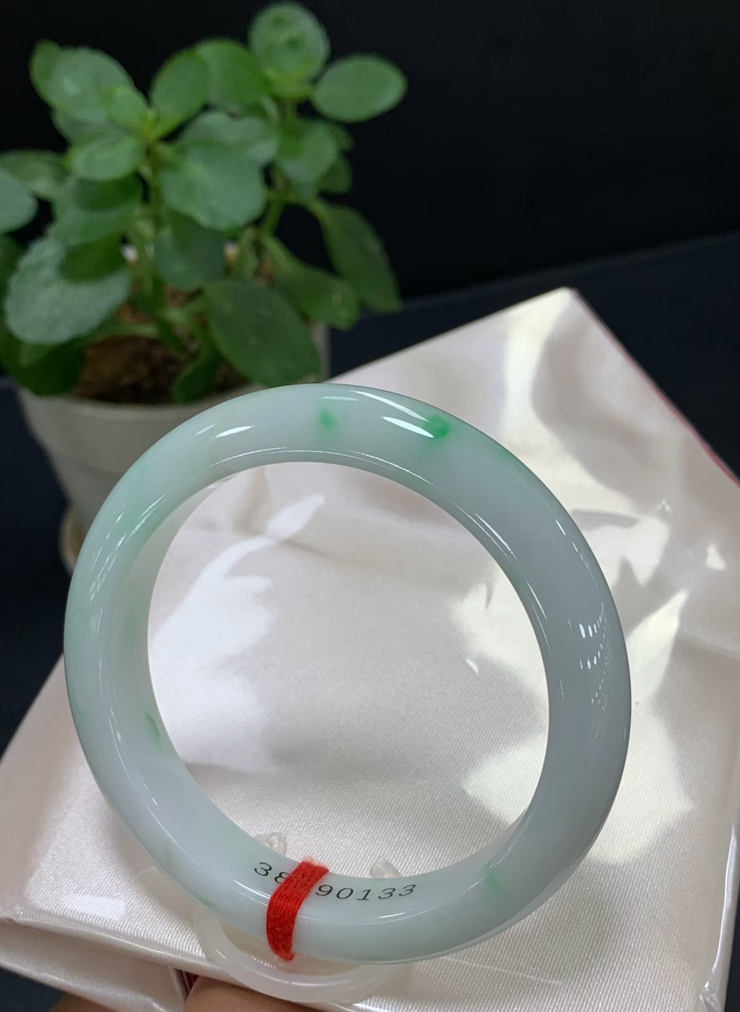 Correct Circle White Base Green