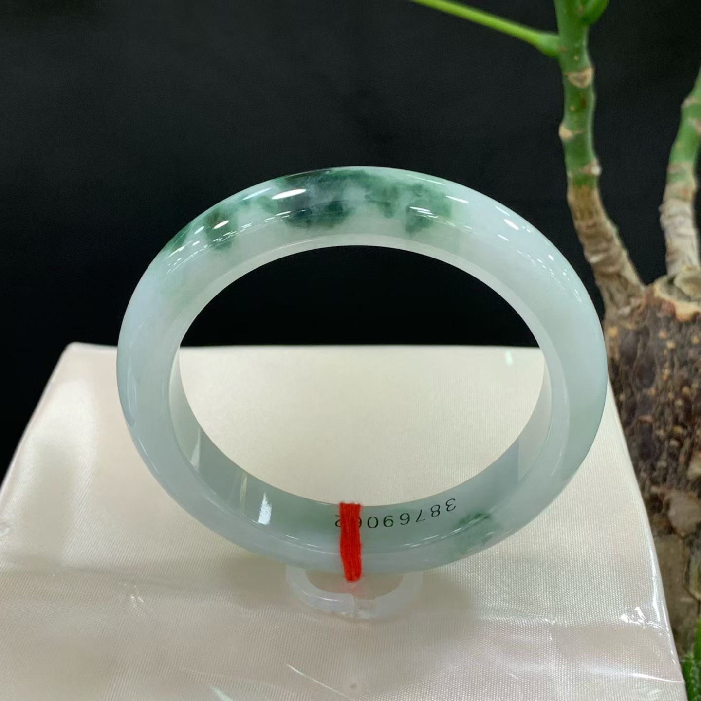 淡晴飘花正圈