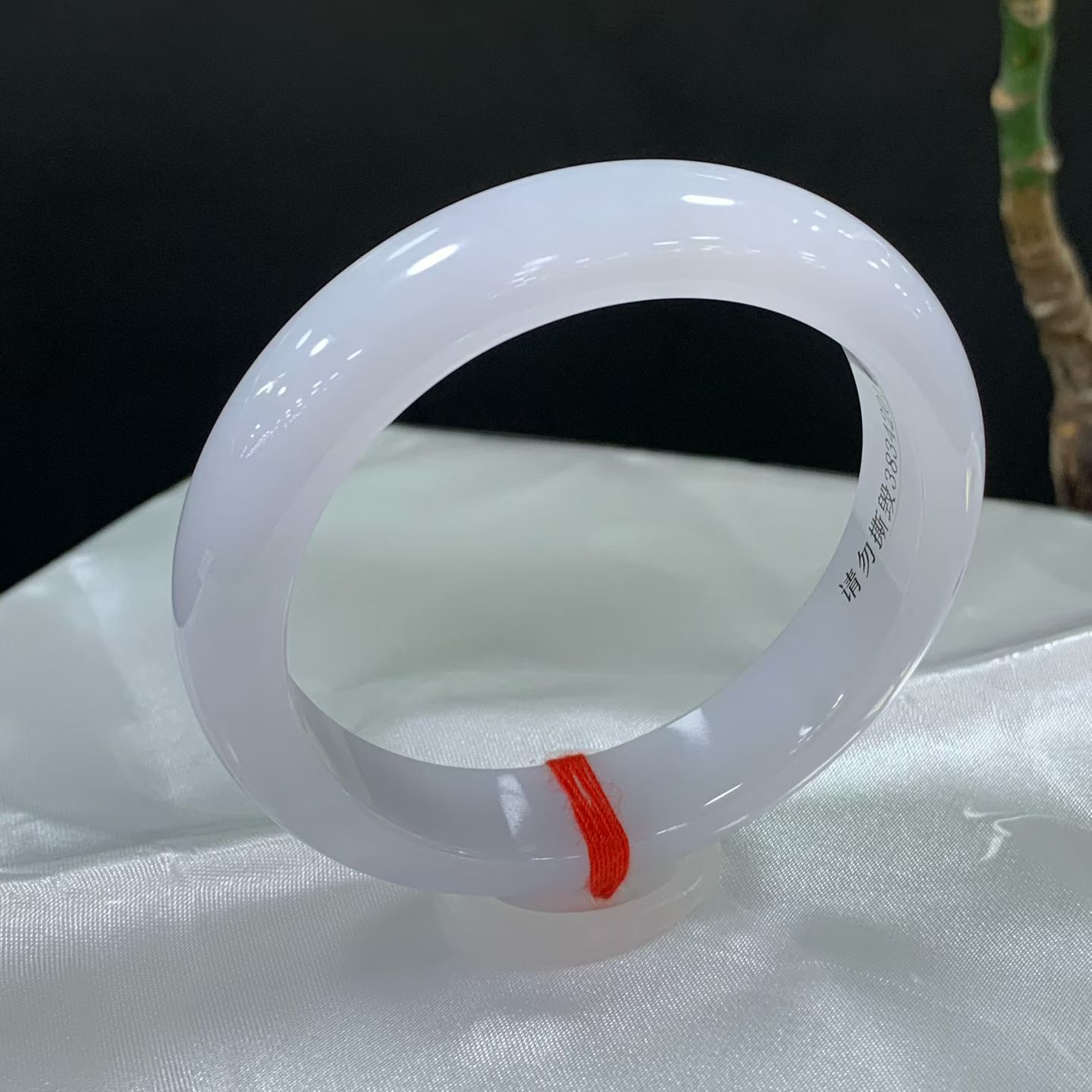 White Moonlight Standard Fit 2