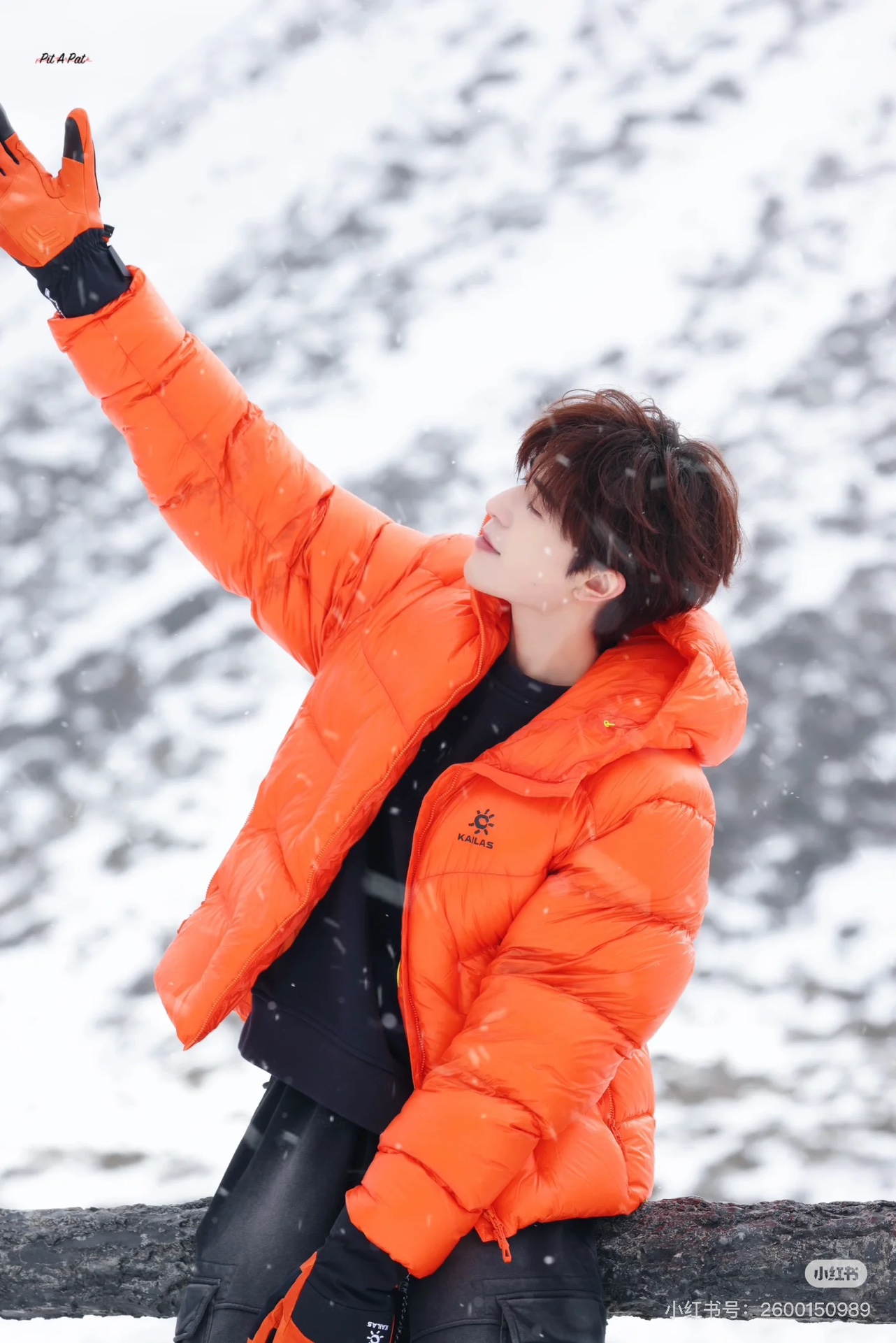 NO:576972,Upper body picture,,alexander wang19860909上身图,,alexander wang,Women's clothing