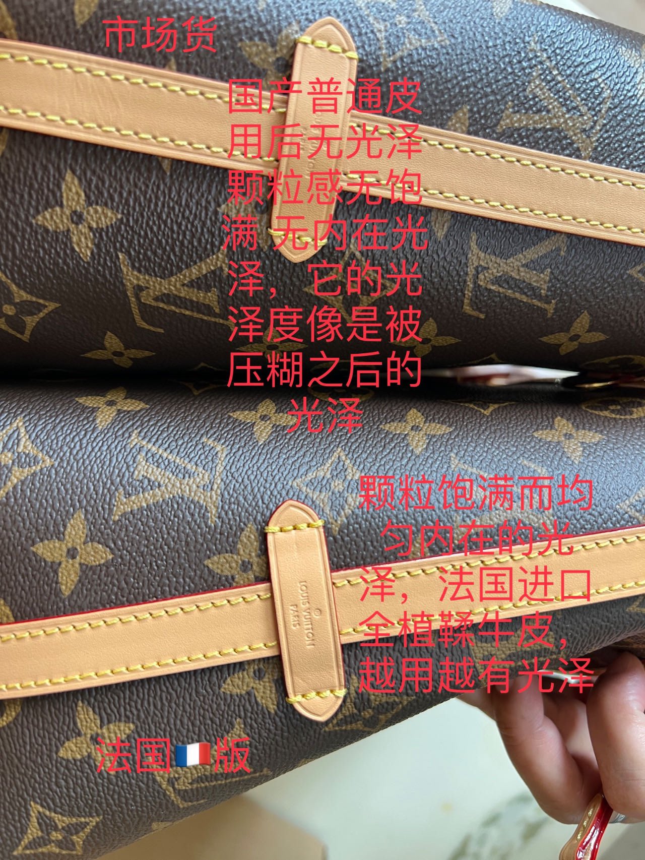 SP免检GR特供版M46203法国🇫🇷版对比🆚