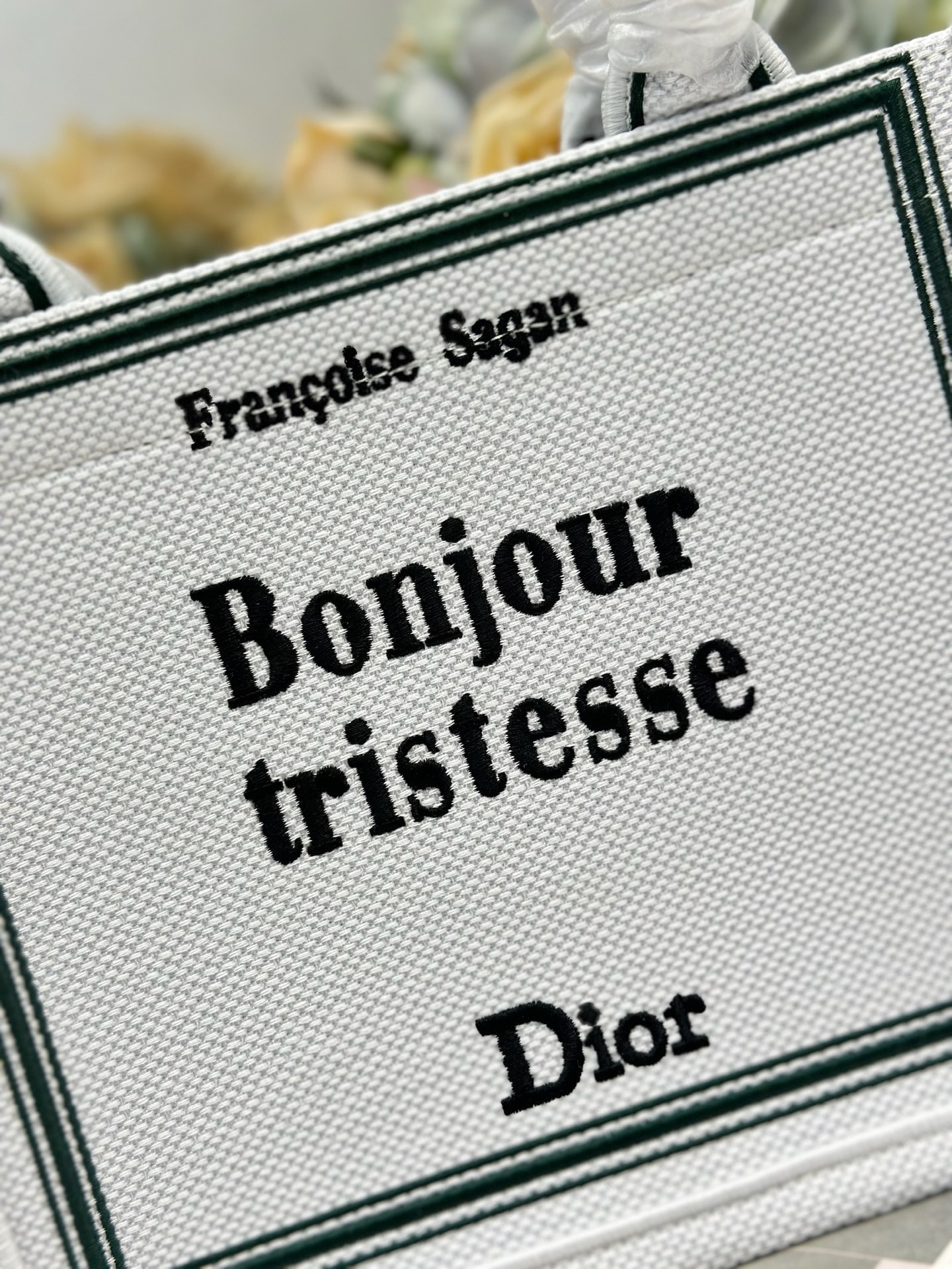 Dior Dio.r Mini Book tote