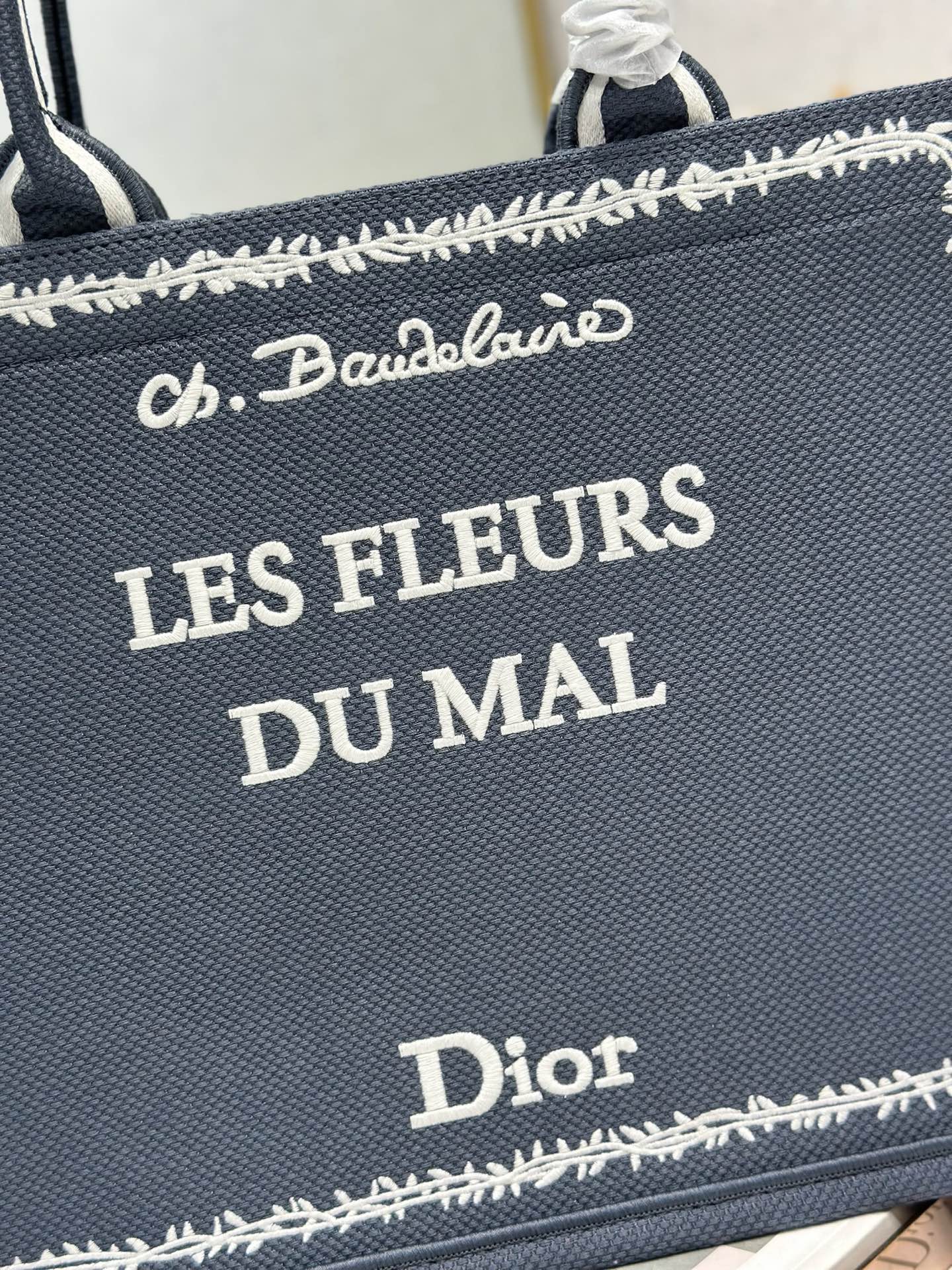 Dior Dior book tote 购物袋
