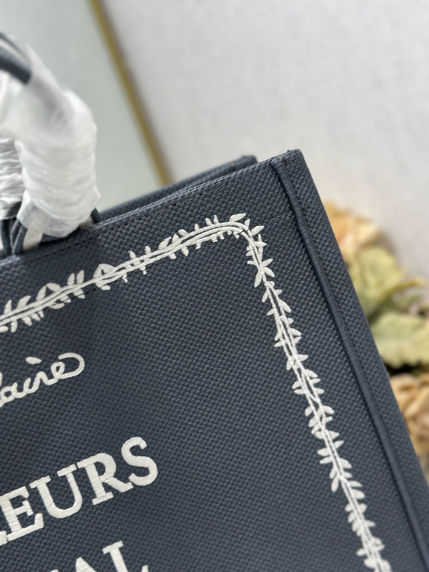Dior Dior book tote 购物袋