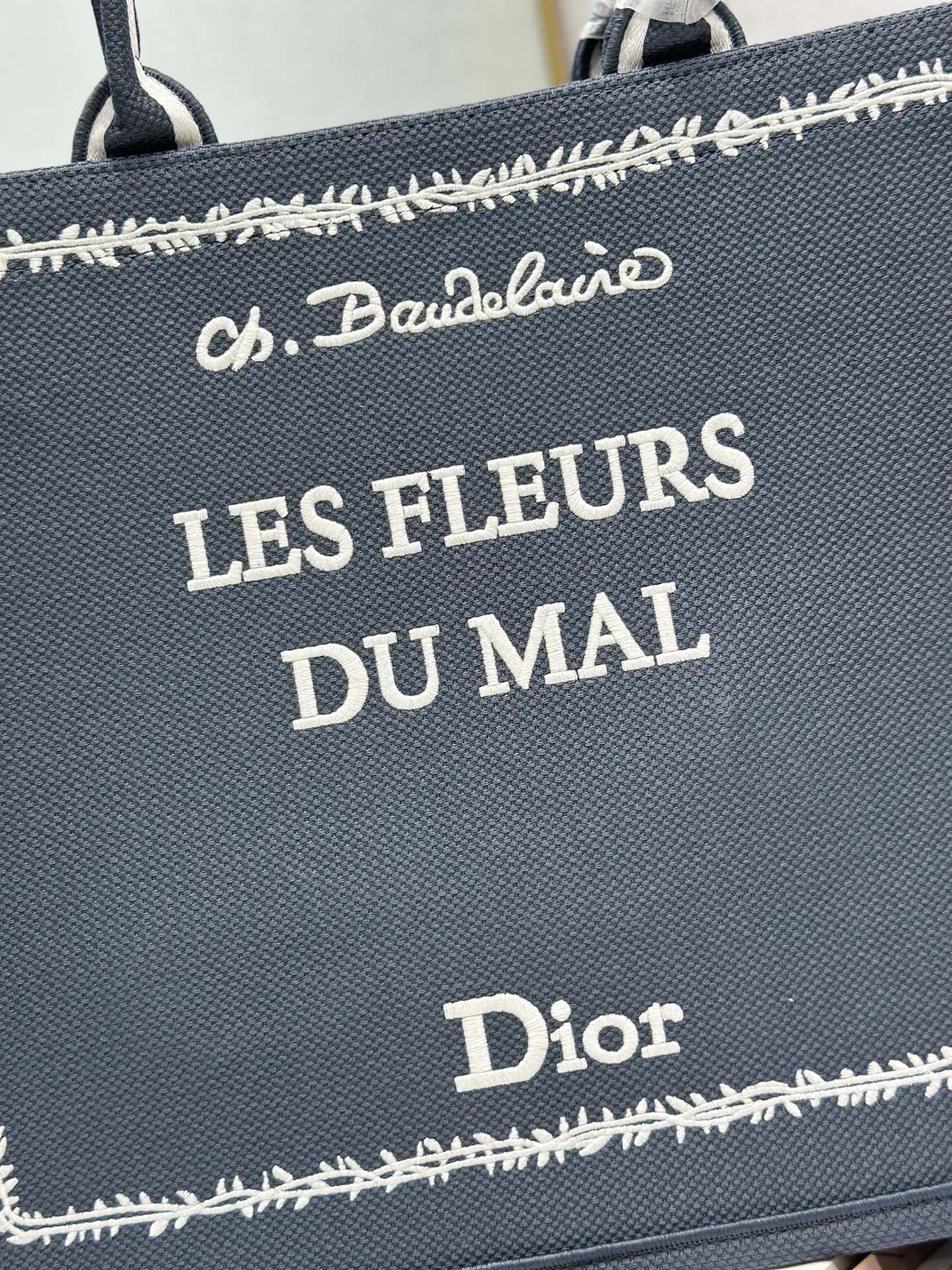 Dior Dior book tote 购物袋