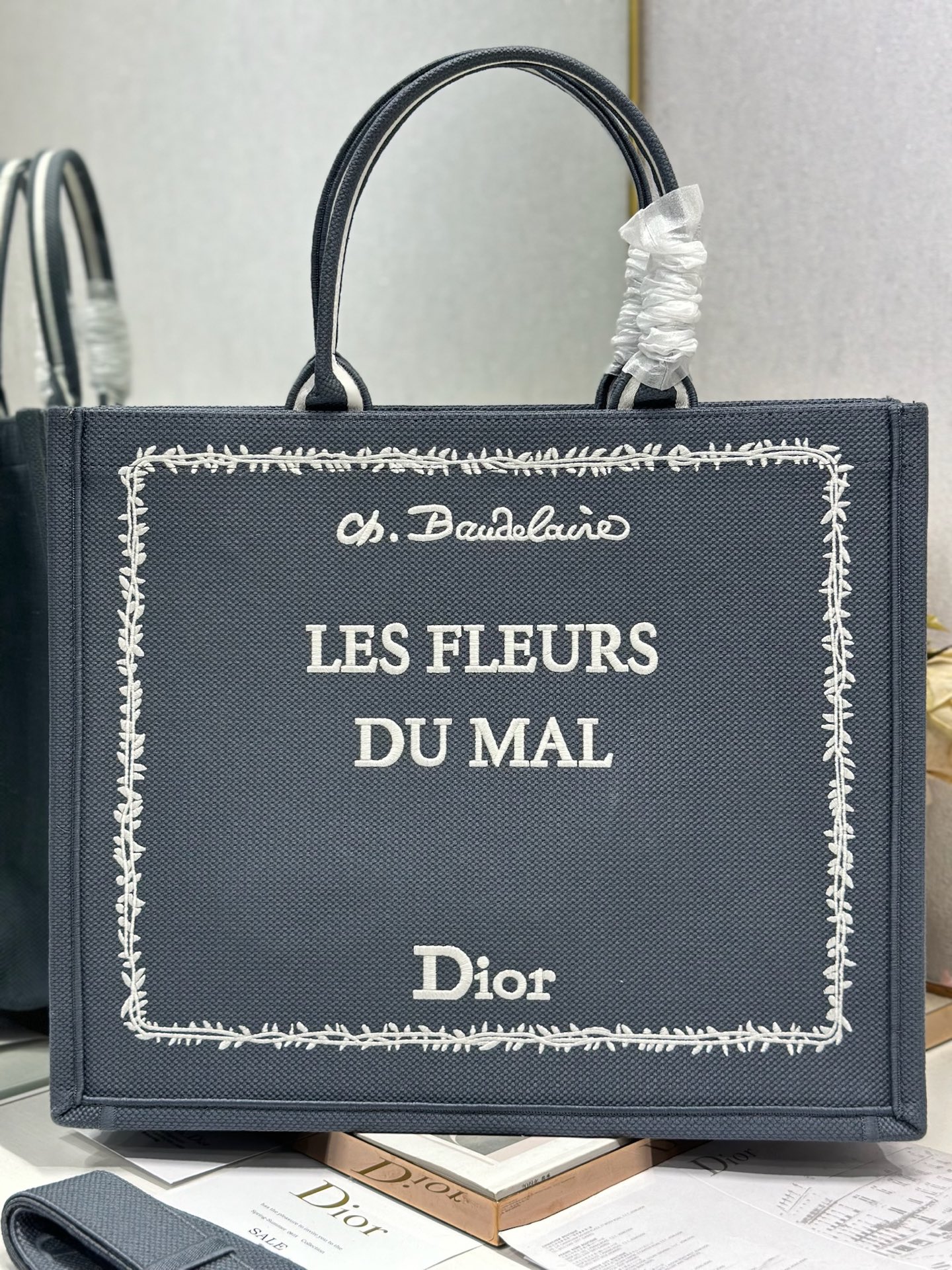 Dior Dior book tote 购物袋