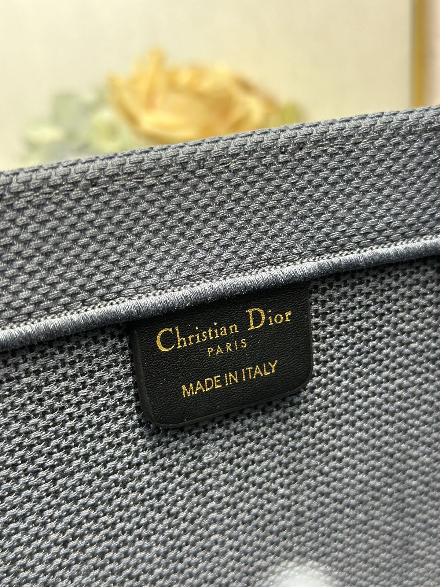 Dior Dior book tote 购物袋